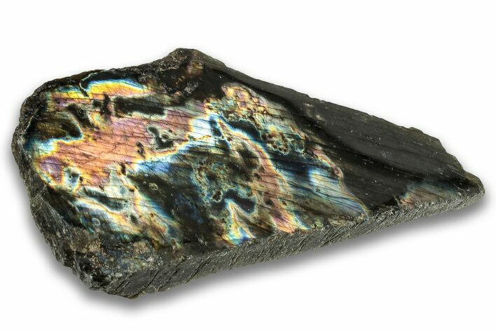 Single Side Polished Labradorite Section - Madagascar #324690